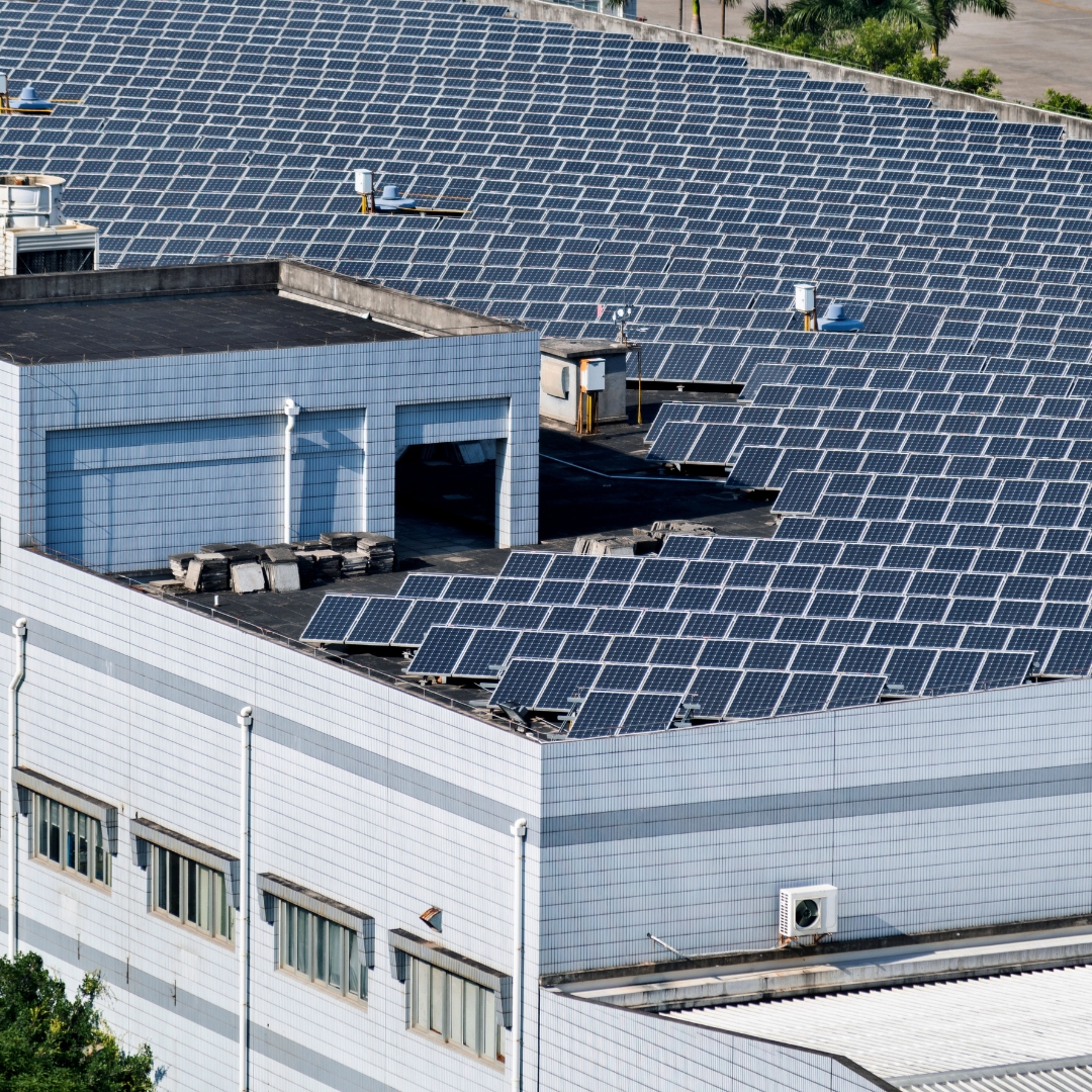 Tejado lleno de placas solares